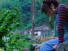 -MOJ coffee(瓯海泽雅水碓坑店)