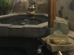 -裕龙汤泉