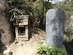 -活死人墓