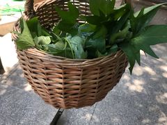 -上海佘山世茂艾美酒店