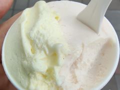 -Dip in Gelato(富民路店)
