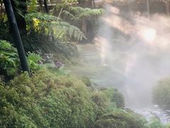 -Chom Cafe and Restaurant