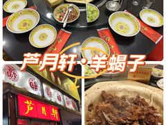-芦月轩羊蝎子(北蜂窝店)