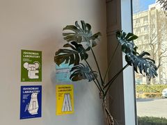 -dotcom coffee古点咖啡(致真大厦店)