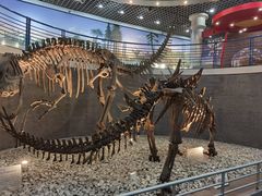 -国家自然博物馆