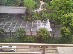 -哈沐德国际托育早教(保利城旗舰店)