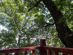 -终南山南五台景区