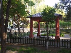-黄村公园