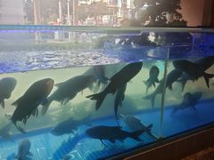 -阿瓦山寨·湘菜现炒·剁椒鱼头王(咸阳总店)