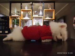 -梵猫·新养生(福州万象城店)
