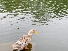 -台州府城(东湖)