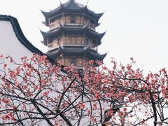 -红梅公园
