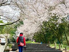 -杭州少年儿童公园