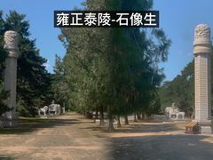 -清西陵