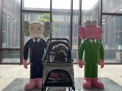 -上海崇明金茂凯悦酒店