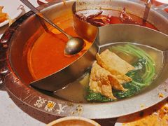 -大龙燚·旷野鲜火锅(广州首店)