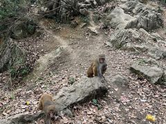 -黔灵山公园