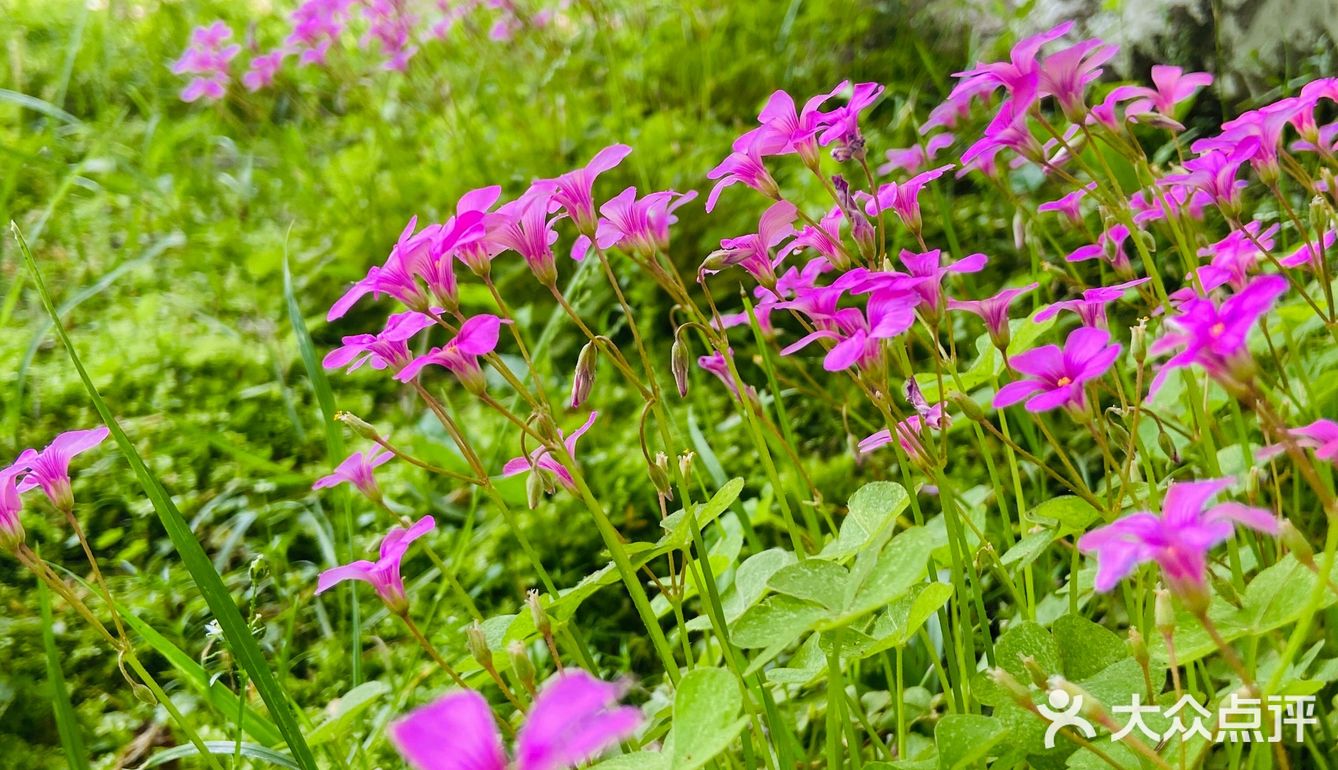 工商大学外的实惠小店