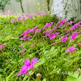 工商大学外的实惠小店