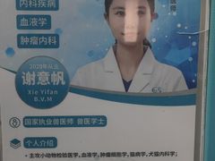 -北京观赏动物医院·24小时大型综合·猫专科·异宠专科