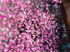-何兮花店·气球派对鲜花店(马桥银春路万科城店)