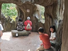 -新加坡飞禽公园