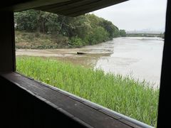 -福田红树林生态公园