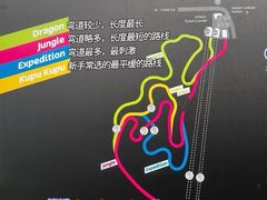 -圣淘沙天际线斜坡滑车