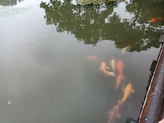 -西湖游船