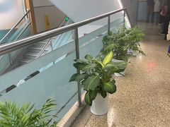 -江苏省人民医院(广州路院区)