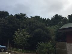 -汉拿树木园