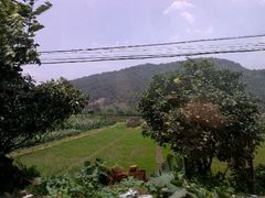 android_upload_pic-宁波浙东大竹海景区