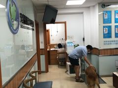 -宠福鑫动物医院(城北分院)