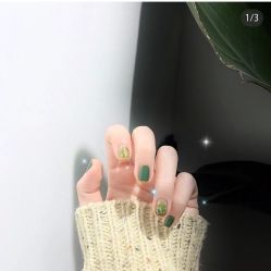 -恐龙·美甲美睫