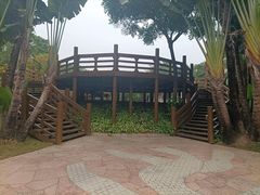 -深圳国际园林花卉博览园