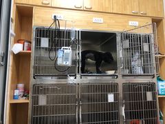 -派美特宠物医院·核磁CT·骨科肿瘤·疑难转诊(沈农禾丰店)