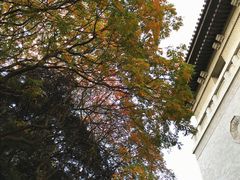 -东京国立博物馆