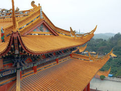 -东莞市大岭山森林公园