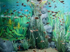 -上海海洋水族馆