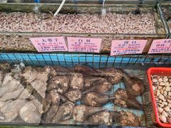 -荔城生鲜盛宴(番禺旗舰店)