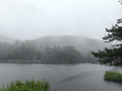 -庐山风景区花径公园