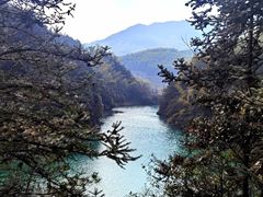 -泽雅七瀑涧景区