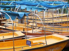 景点-西昌邛海湿地