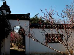-无锡梅园公园