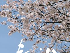 -新虹桥中心花园