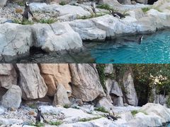-上海野生动物园