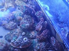 -福禧荟·海鲜自助