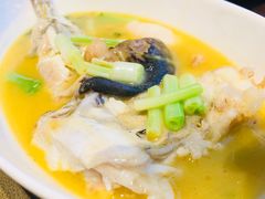 红烧菊黄河豚-扬州狮子楼·非遗淮扬菜(总店)