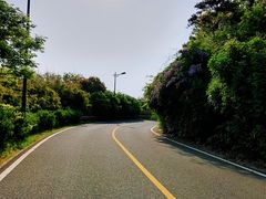 -宝界山林公园