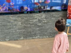 -厦门国际会议中心酒店(环岛路酒店)